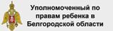 Уполномоченный по правам ребёнка в Белгородской области.